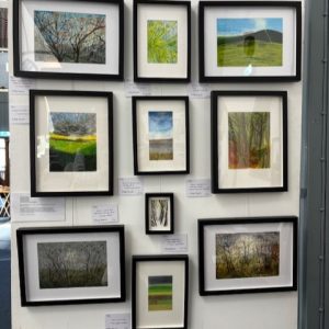 Framed landscape and nature-inspired artworks displayed at the 2025 hART Exhibition in Hythe, Kent.