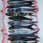 Mixed media fish artwork by Nikki Griffith featuring a row of fish over red patterned paper